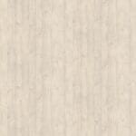White Swiss Larch